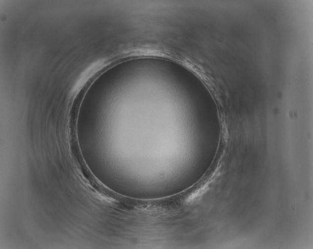 X0000073730199200608171237