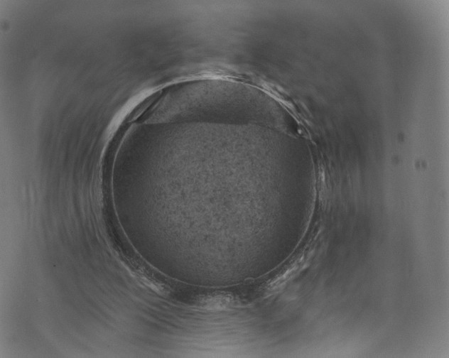 X0000073730200200608171237