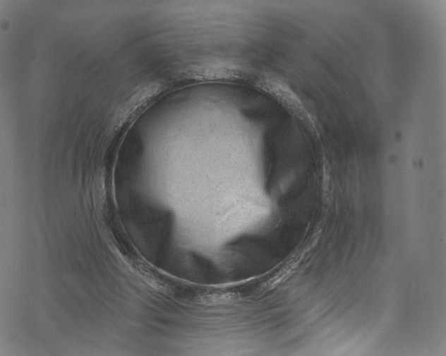 X0000073730202200608171237