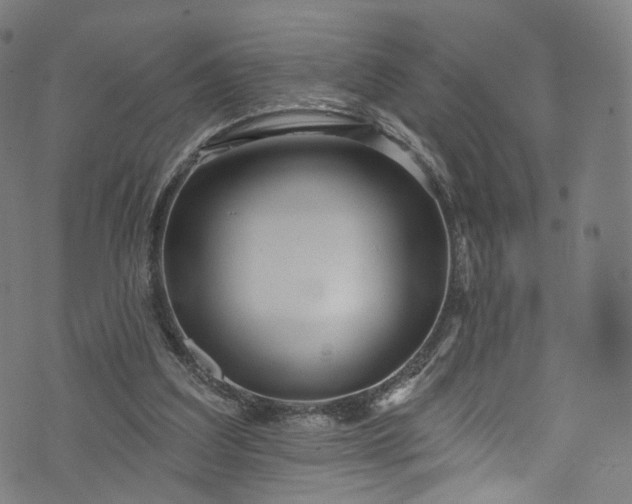 X0000073730203200608171237