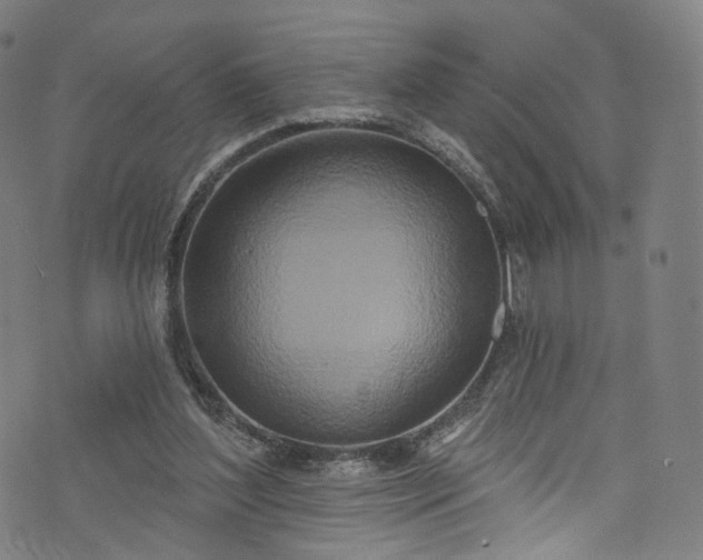 X0000073730204200608171237