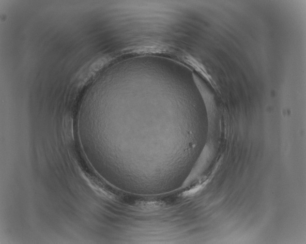 X0000073730205200608171237