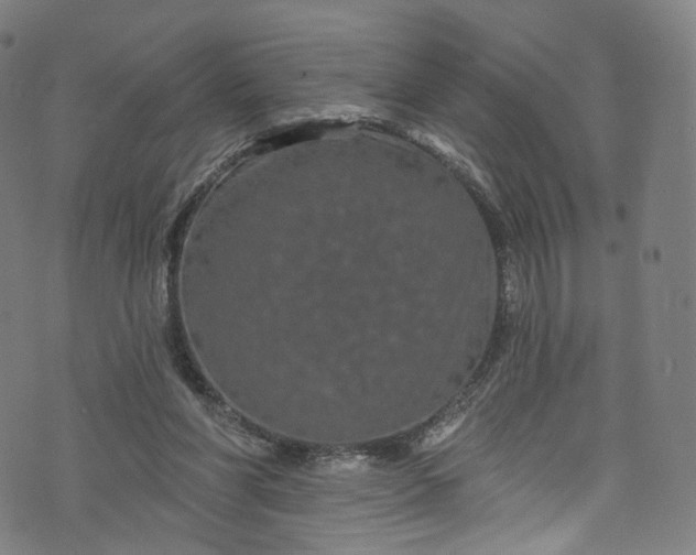 X0000073730206200608171237