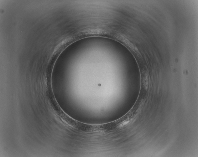 X0000073730207200608171237