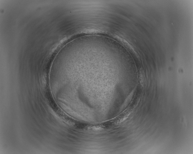 X0000073730208200608171237