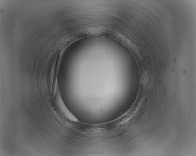 X0000073730209200608171237