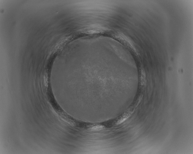 X0000073730210200608171237