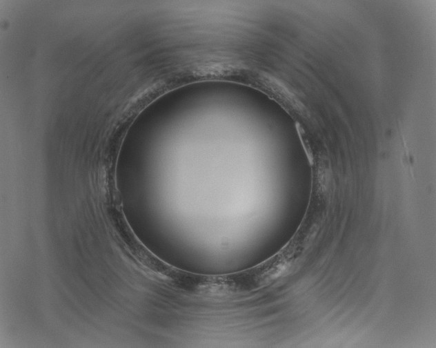 X0000073730211200608171237