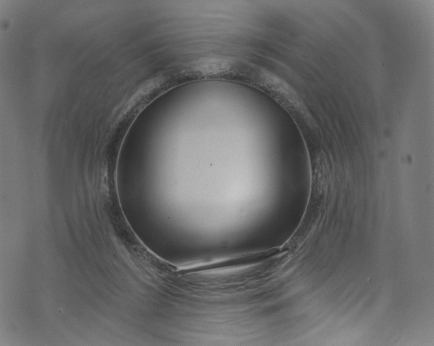 X0000073730212200608171237