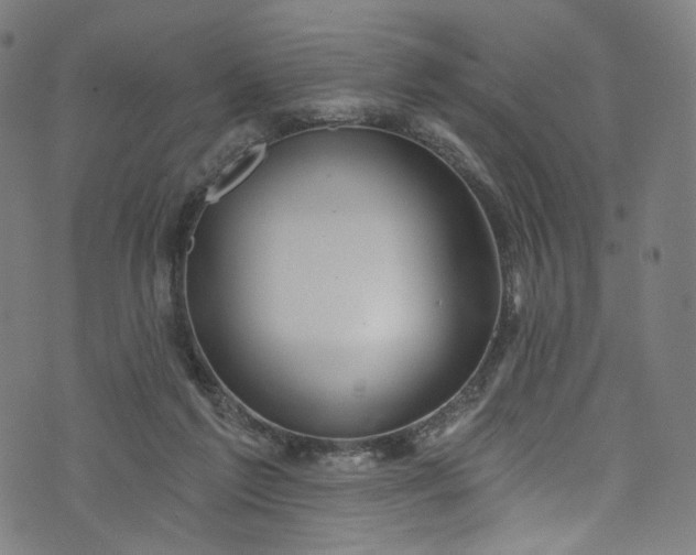 X0000073730213200608171237