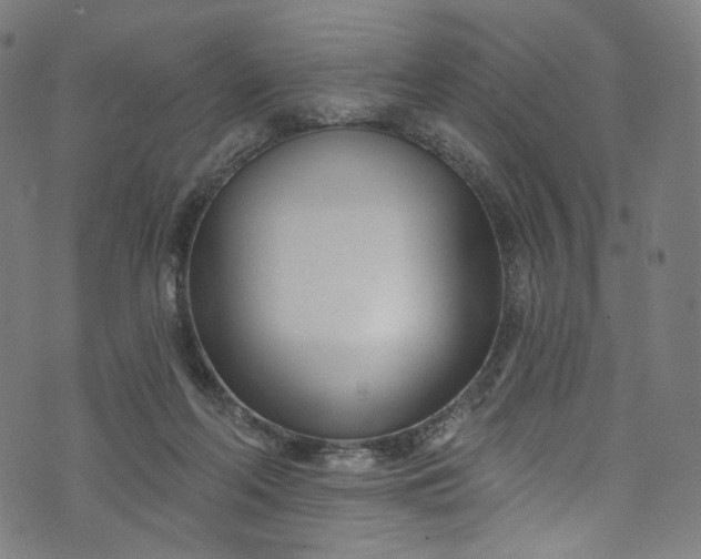 X0000073730214200608171237