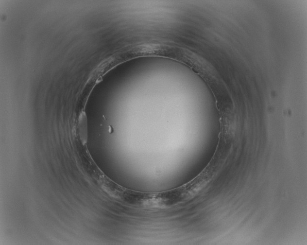 X0000073730216200608171237