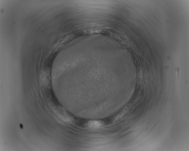 X0000073730218200608171237