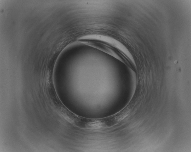 X0000073730219200608171237