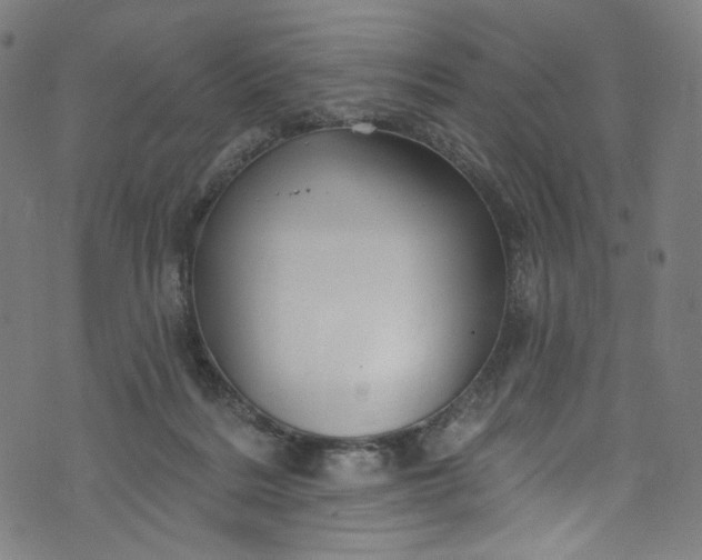 X0000073730220200608171237