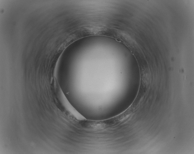 X0000073730221200608171237