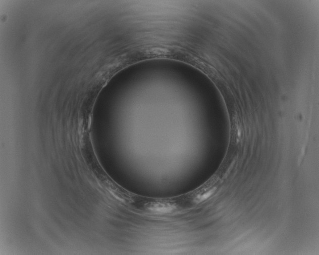 X0000073730223200608171237