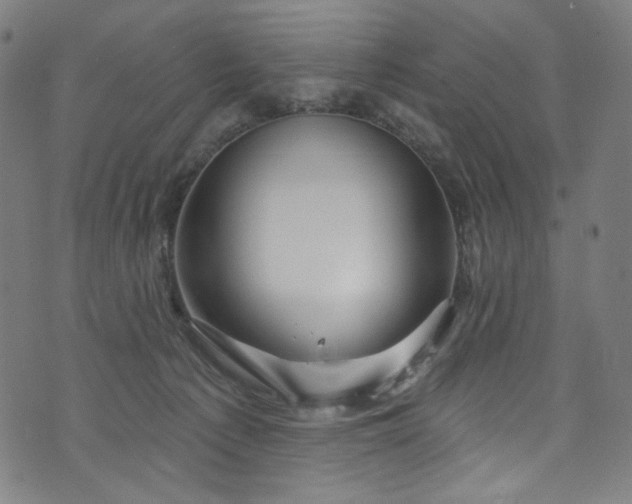 X0000073730225200608171237