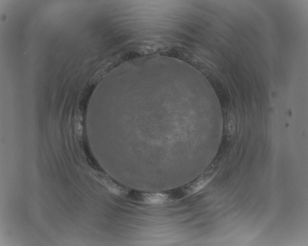 X0000073730226200608171237