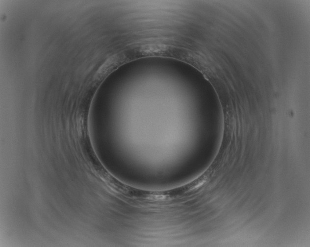 X0000073730227200608171237