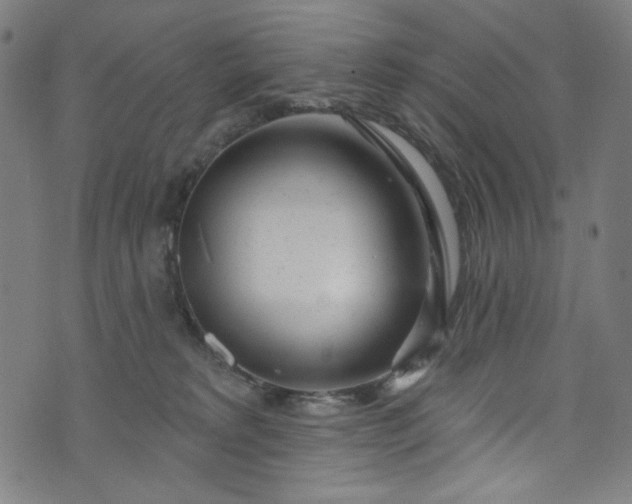 X0000073730229200608171237