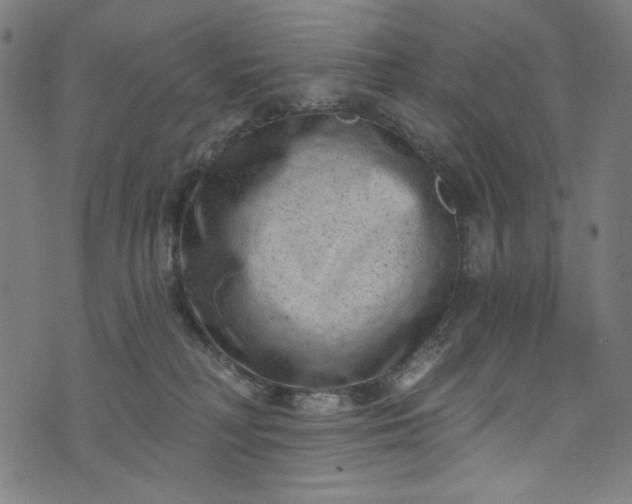 X0000073730230200608171237