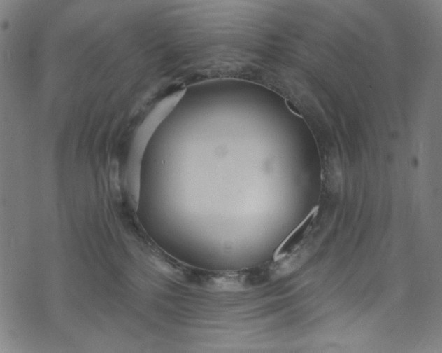 X0000073730232200608171237