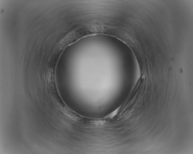 X0000073730233200608171237