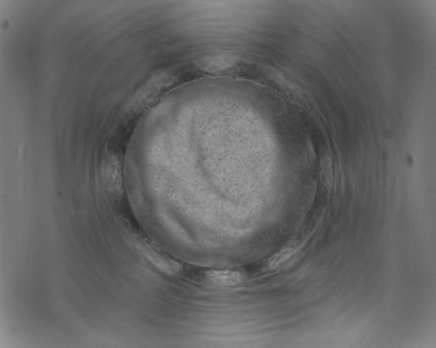 X0000073730234200608171237