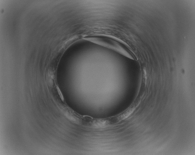 X0000073730235200608171237