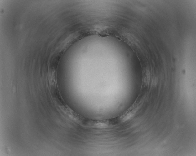 X0000073730236200608171236