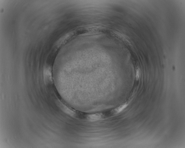 X0000073730238200608171236