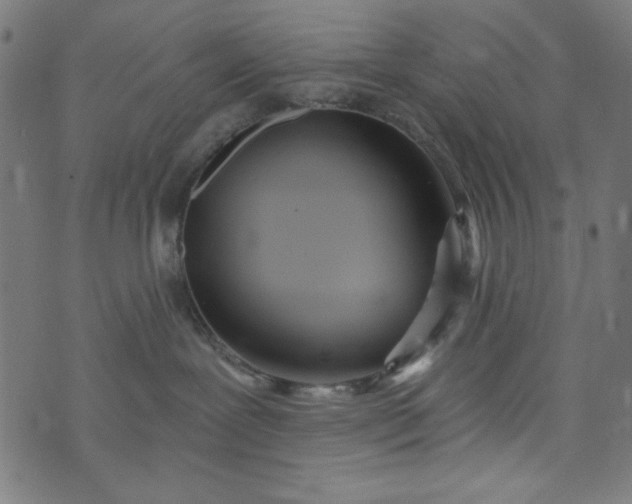 X0000073730239200608171236