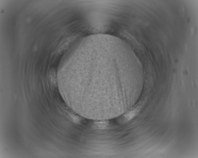 X0000073730240200608171236