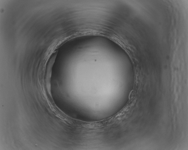 X0000073730241200608171236