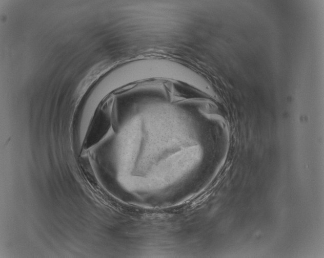 X0000073730242200608171236