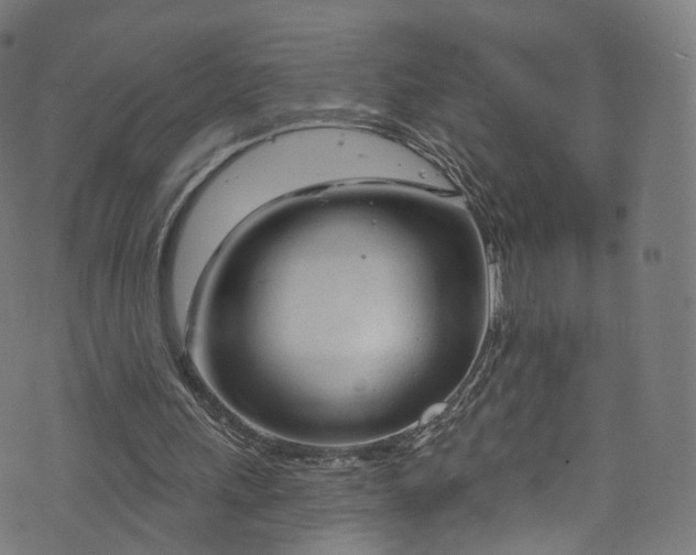 X0000073730243200608171236