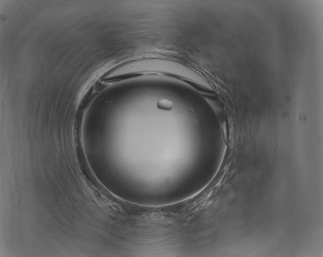 X0000073730244200608171236