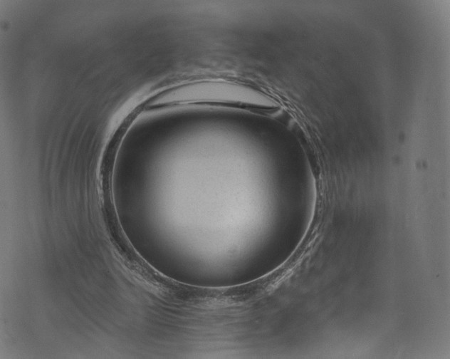 X0000073730246200608171236