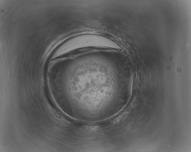 X0000073730247200608171236