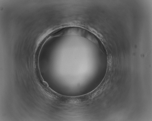 X0000073730248200608171236