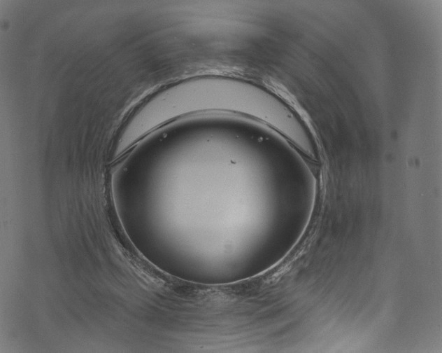 X0000073730249200608171236