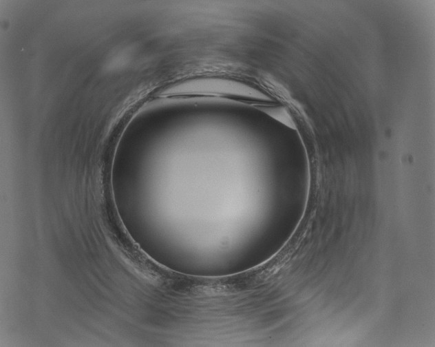 X0000073730250200608171236