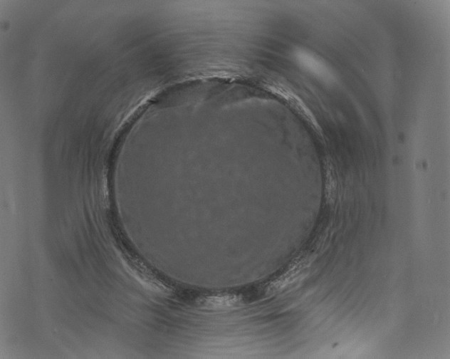 X0000073730251200608171236