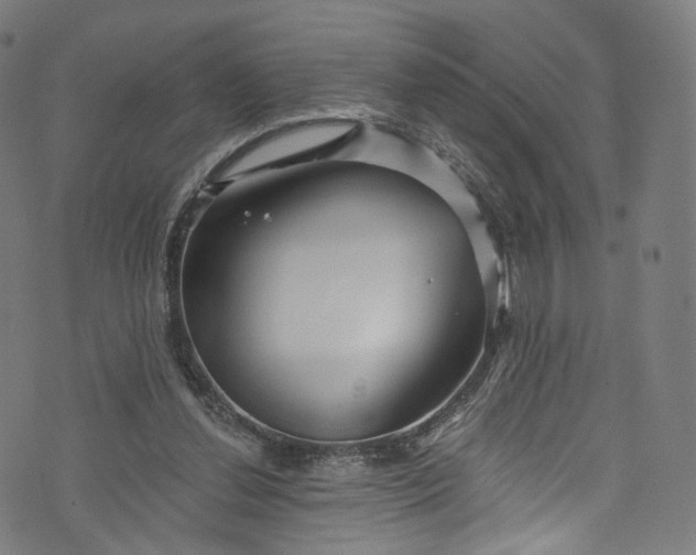 X0000073730252200608171236