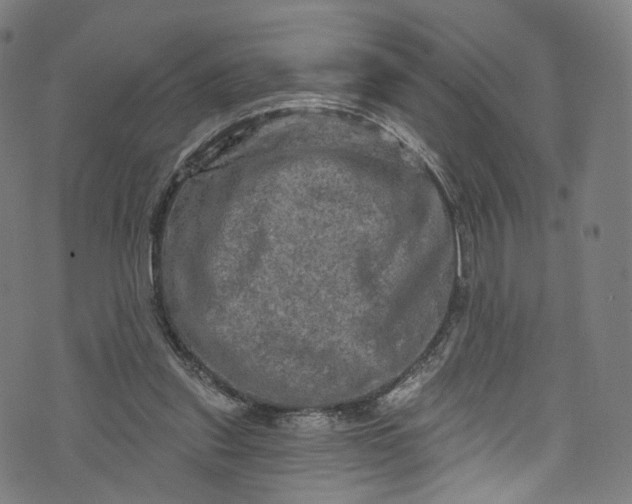 X0000073730253200608171236