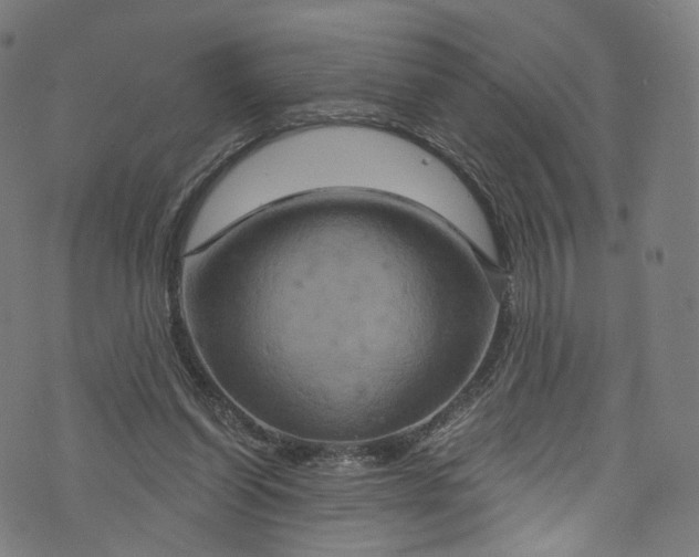 X0000073730254200608171236