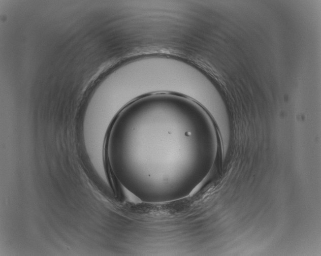 X0000073730256200608171236