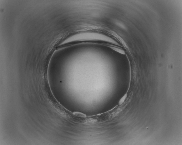 X0000073730257200608171236