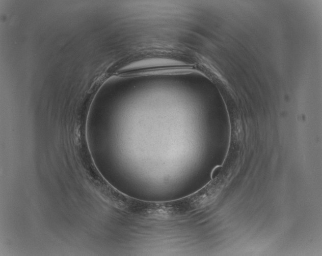 X0000073730259200608171236